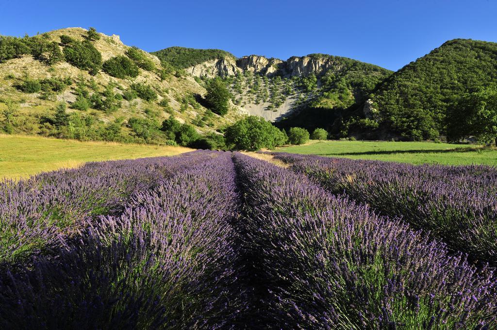 Hotel Vvf Drome Provence Montbrun-les-Bains Exteriér fotografie
